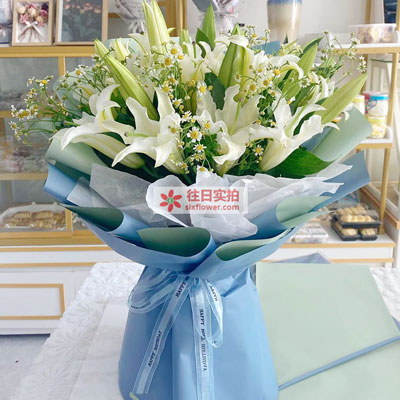 营口8支白色多头百合洋甘菊，互倾的思念