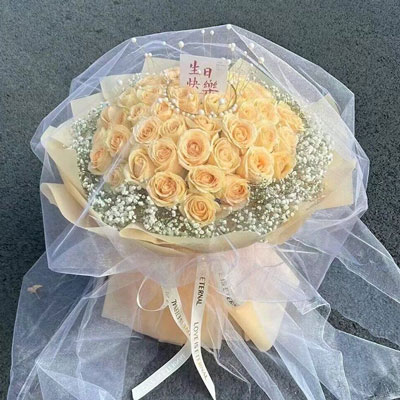 营口52朵香槟玫瑰满天星，你就是我的全部