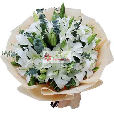 营口9支白色多头百合，祝福你幸福